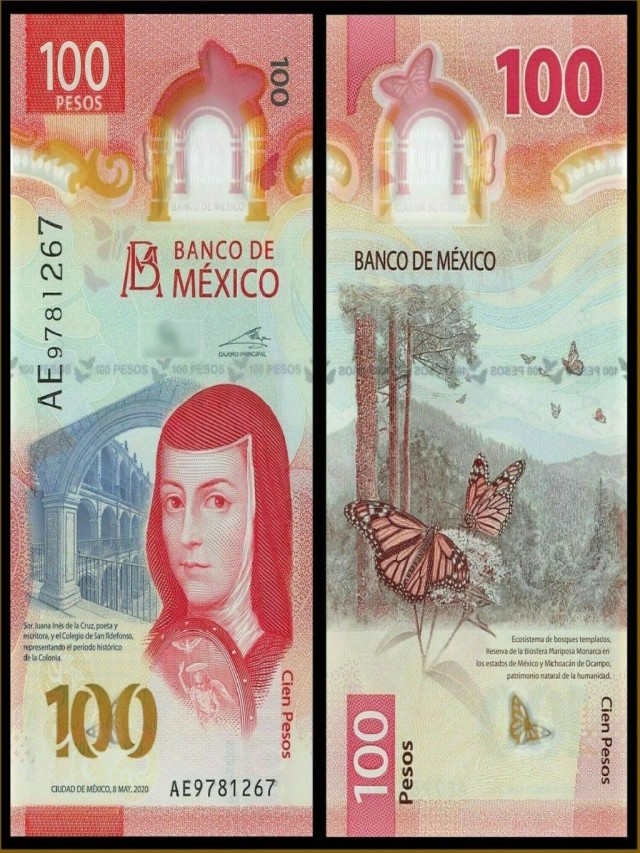 Lista 96+ Foto 100 dólares a pesos mexicanos 2021 Mirada tensa