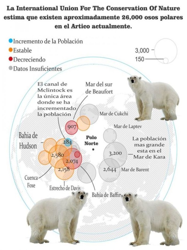 Arriba 101+ Foto 15 preguntas sobre el oso polar Lleno