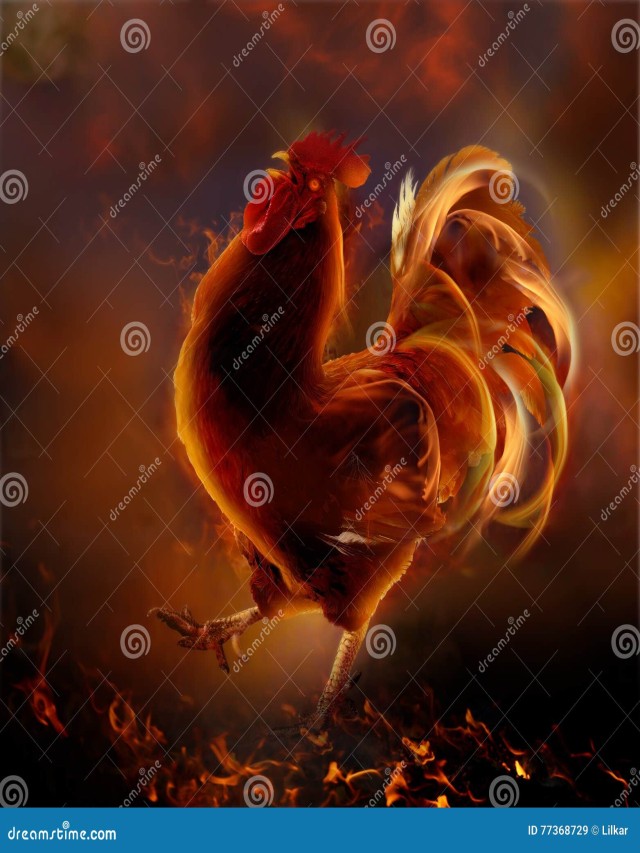 Lista 102+ Foto 2017 año del gallo de fuego Mirada tensa