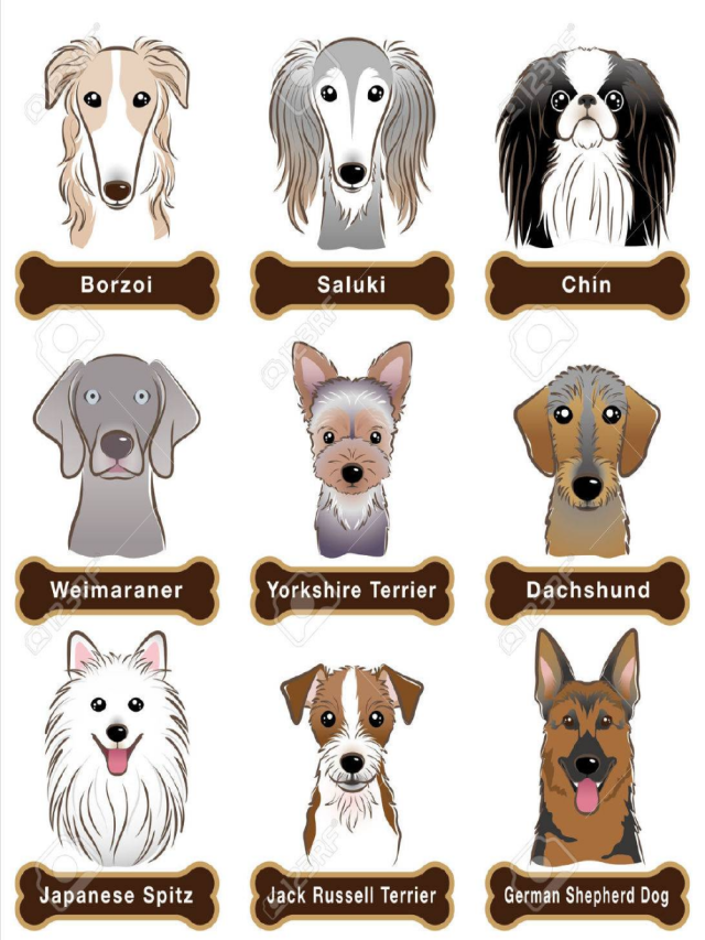 Lista 104+ Foto 70 nombres de perros de dibujos animados Mirada tensa