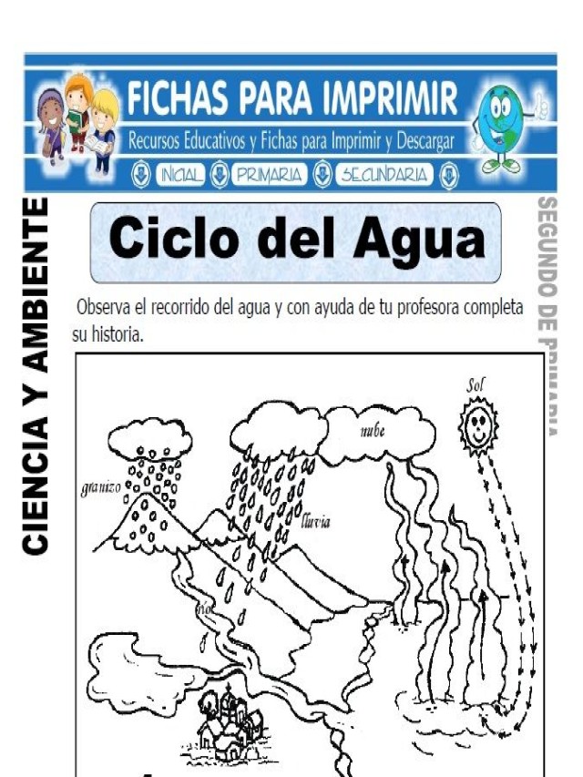 Arriba 90+ Foto actividades sobre el ciclo del agua para niños de primaria Mirada tensa