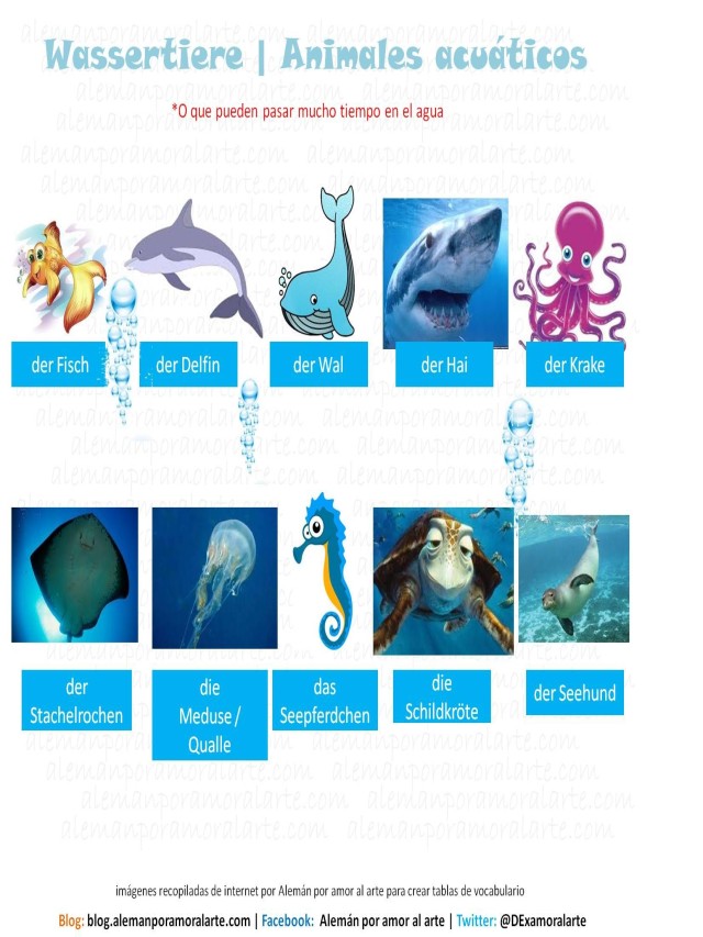 Sintético 94+ Foto animales acuaticos con nombres en español El último