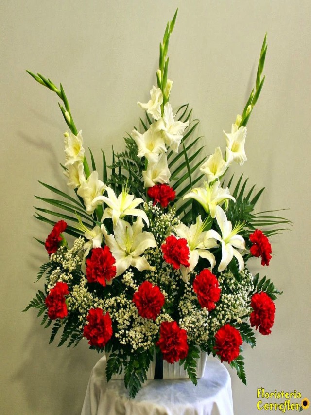 Lista 98+ Foto arreglos florales con claveles rojos y blancos Cena hermosa