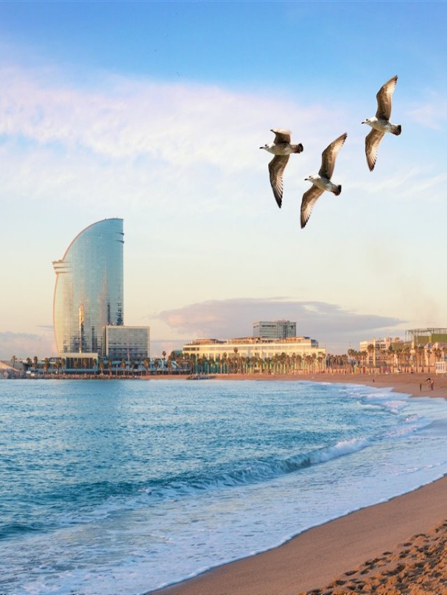 Álbumes 96+ Foto barcelona en la costa del mar mediterráneo Cena hermosa