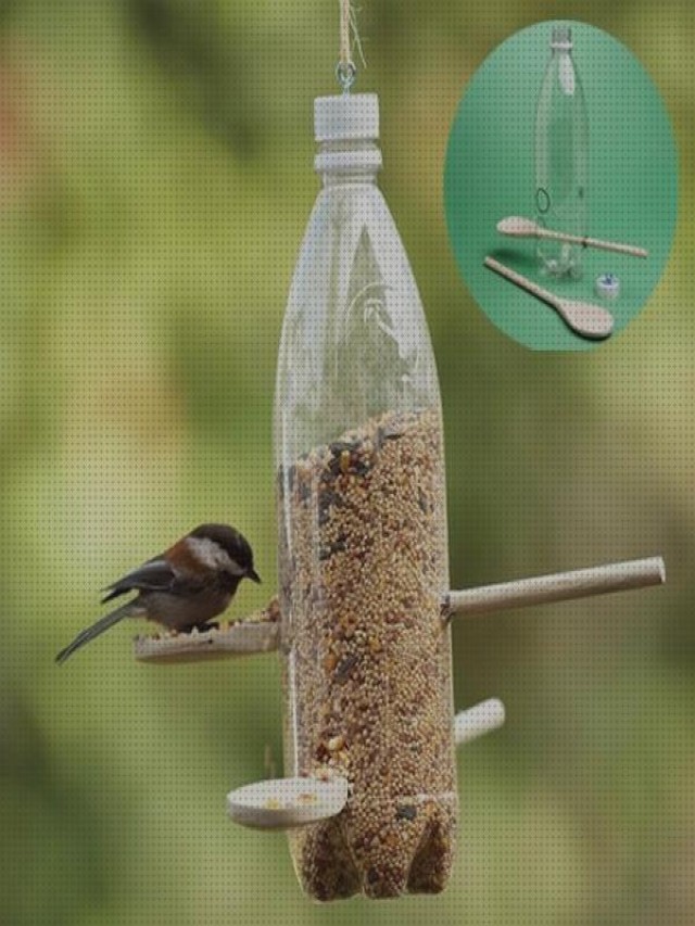 Lista 103+ Foto bebederos para aves con botellas plasticas Actualizar