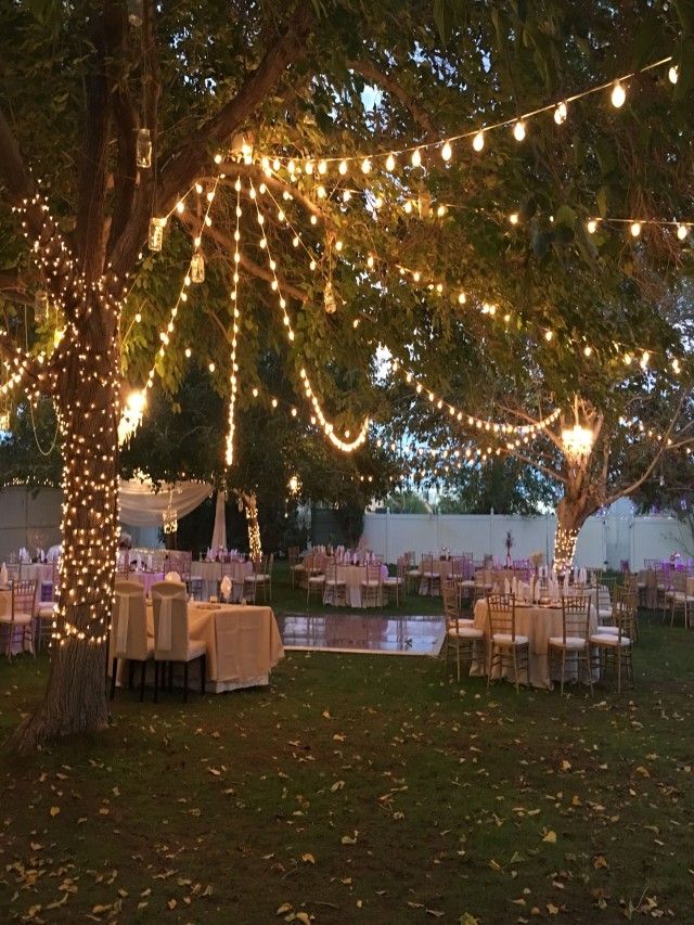 Arriba 97+ Foto bodas en jardin de noche con luces Alta definición completa, 2k, 4k