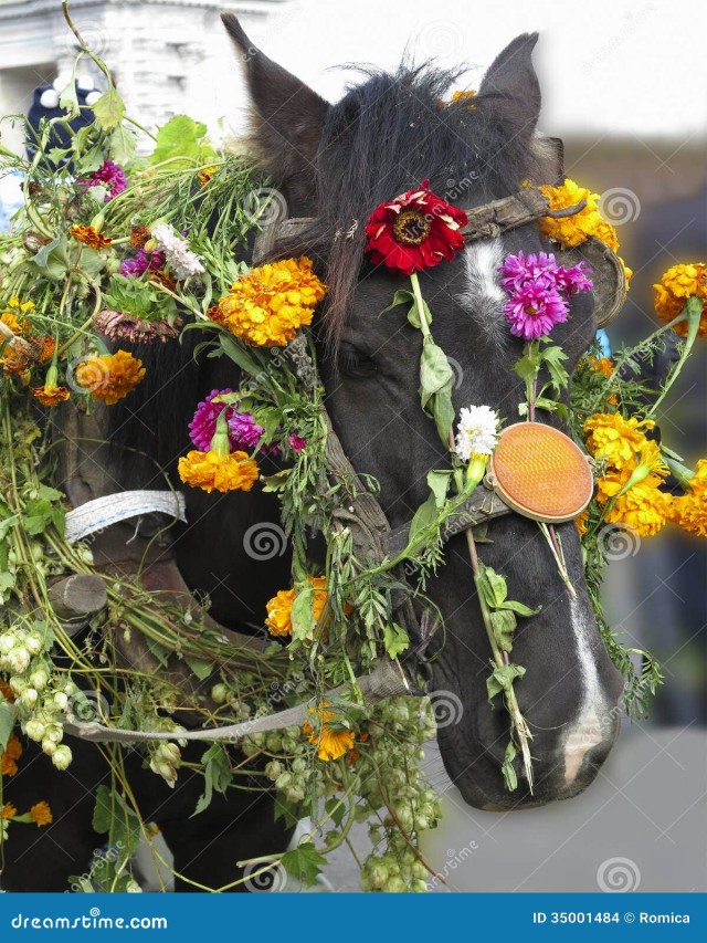 Álbumes 94+ Foto caballos con flores en la cabeza Alta definición completa, 2k, 4k