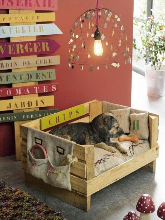Arriba 98+ Foto camas para perros con cajas de madera Cena hermosa