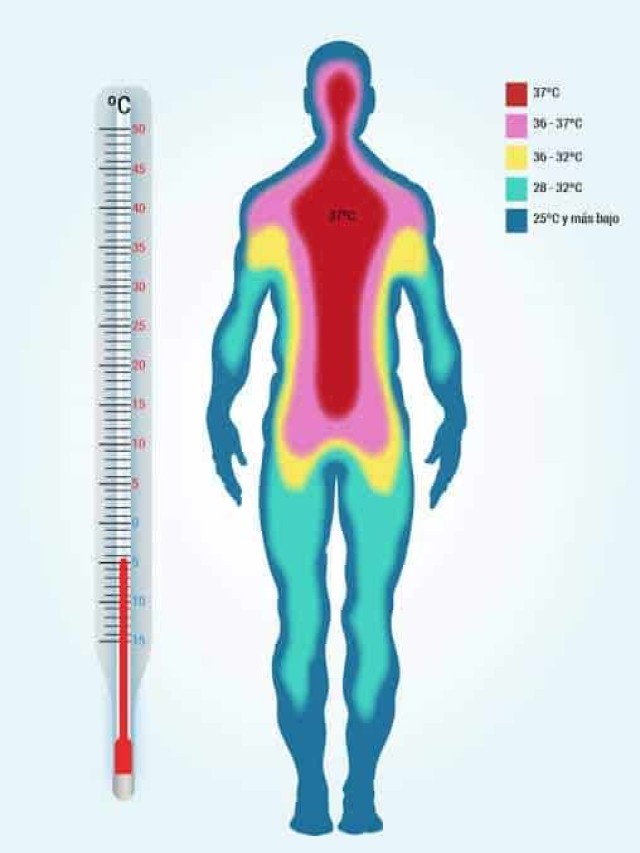 Sintético 104+ Foto cambios de temperatura en el cuerpo humano Lleno