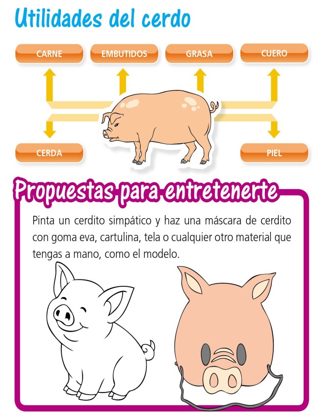 Álbumes 91+ Foto características del cerdo para niños de preescolar Actualizar