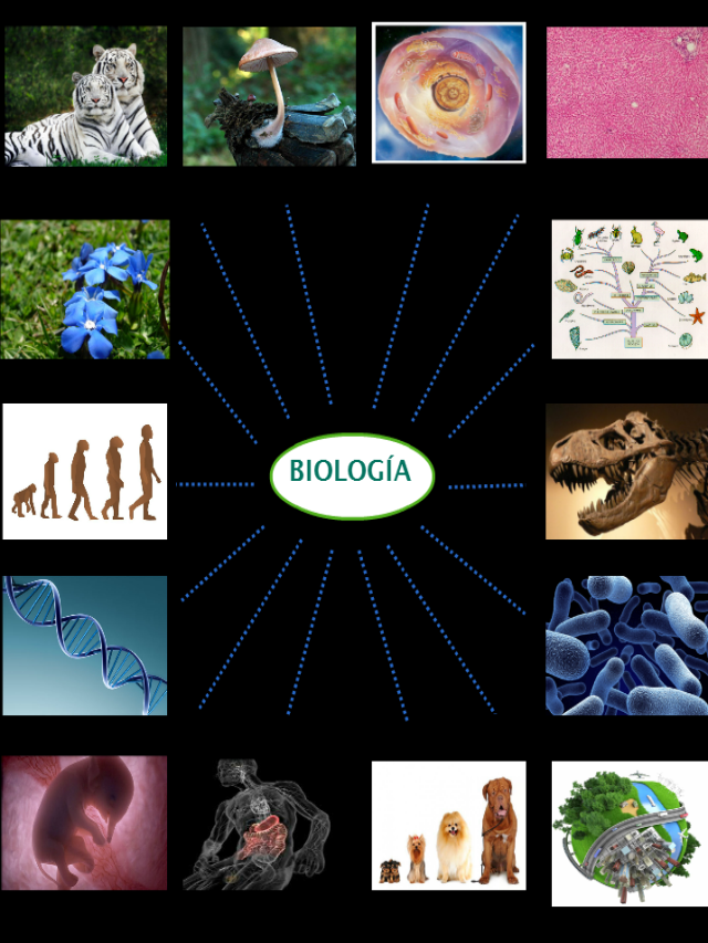 Lista 98+ Imagen cartel descriptivo de los efectos de las ciencias biológicas en la vida cotidiana Cena hermosa