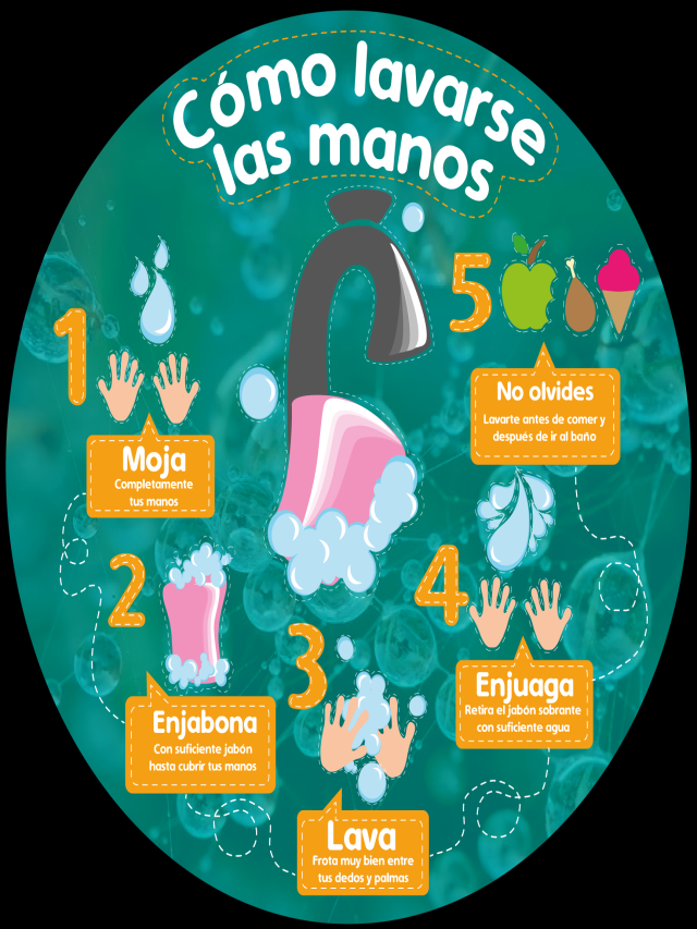 Sintético 93+ Foto cartel sobre el lavado de manos Cena hermosa