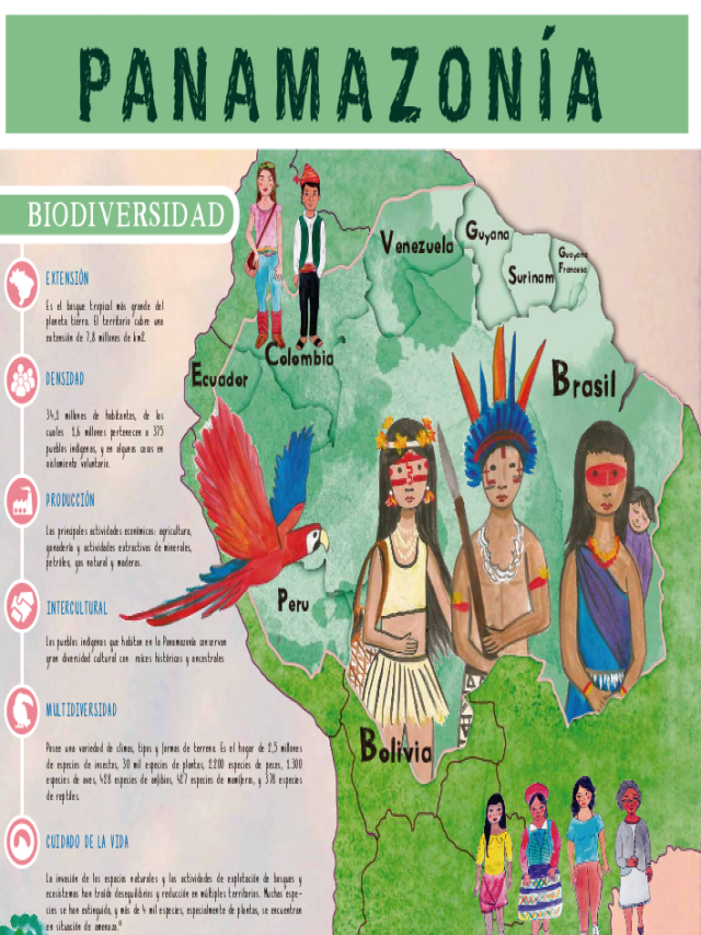 Em geral 96+ Imagen cartelera de la region amazonica para niños Mirada tensa