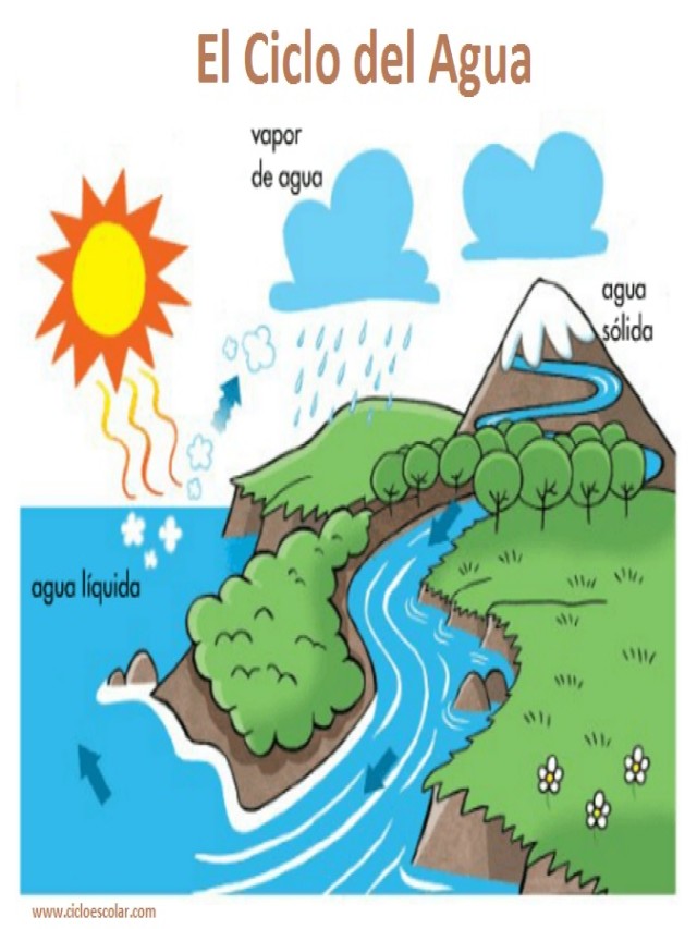 Sintético 100+ Foto ciclo del agua para niños de 3 de primaria El último
