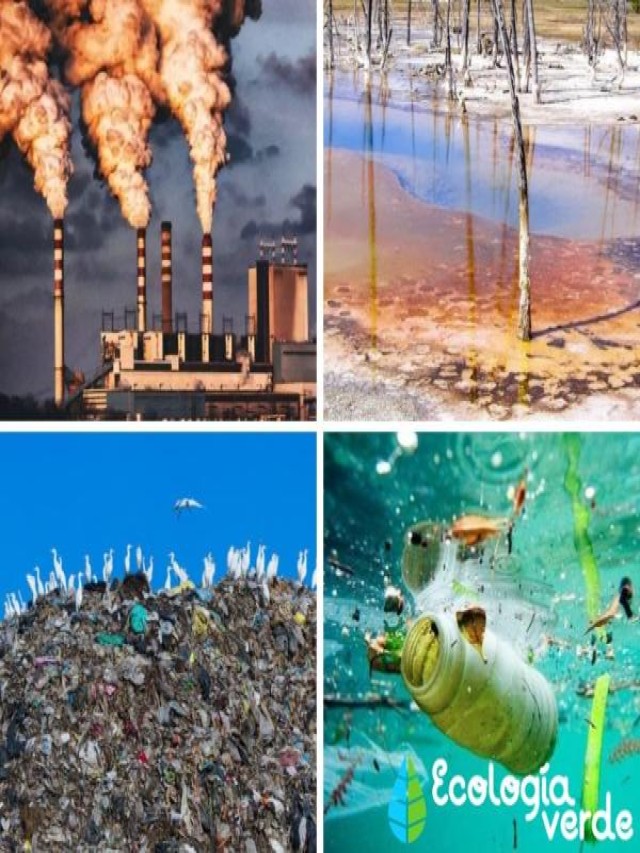 Sintético 90+ Foto cinco ejemplos de contaminación del medio ambiente Cena hermosa