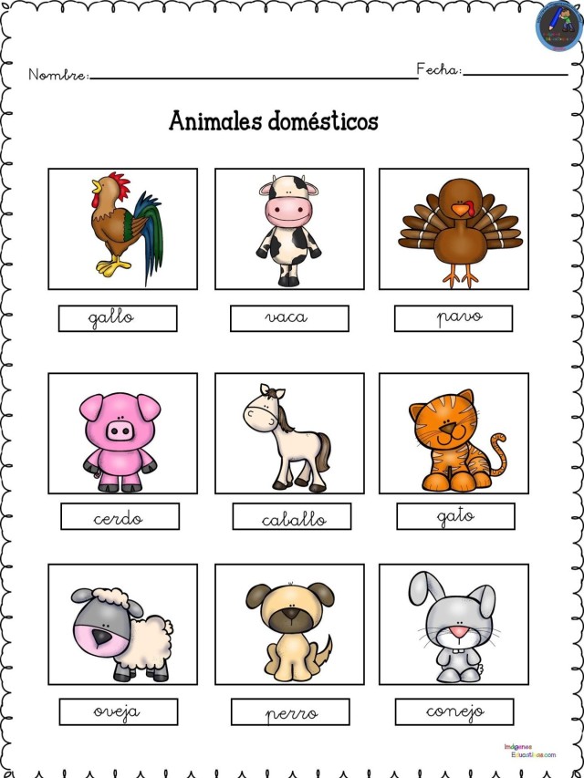 Sintético 98+ Foto clasificacion de los animales para niños de primaria El último
