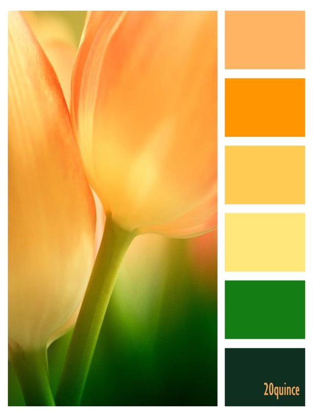 Lista 90+ Foto combinacion de colores naranja y verde El último
