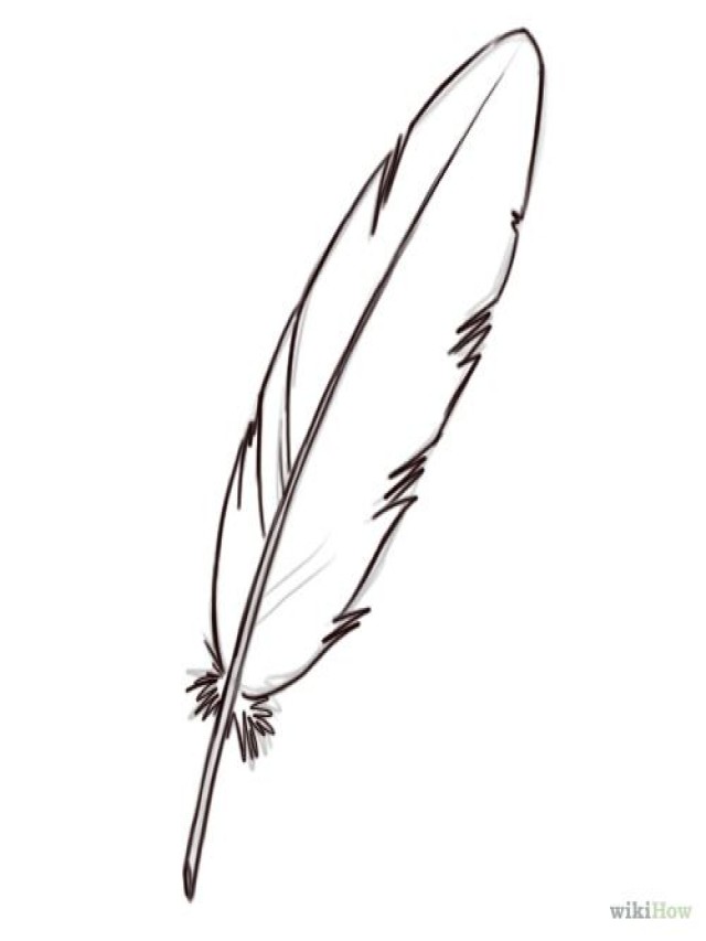 Lista 105+ Imagen como dibujar una pluma de ave Alta definición completa, 2k, 4k