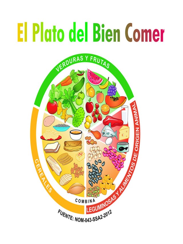 Arriba 103+ Imagen cómo dibujar el plato del bien comer El último