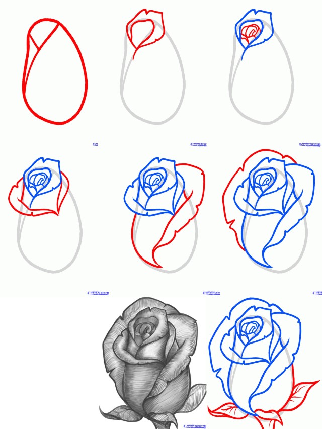 Em geral 104+ Imagen como dibujar una rosa facil y bonita paso a paso Alta definición completa, 2k, 4k