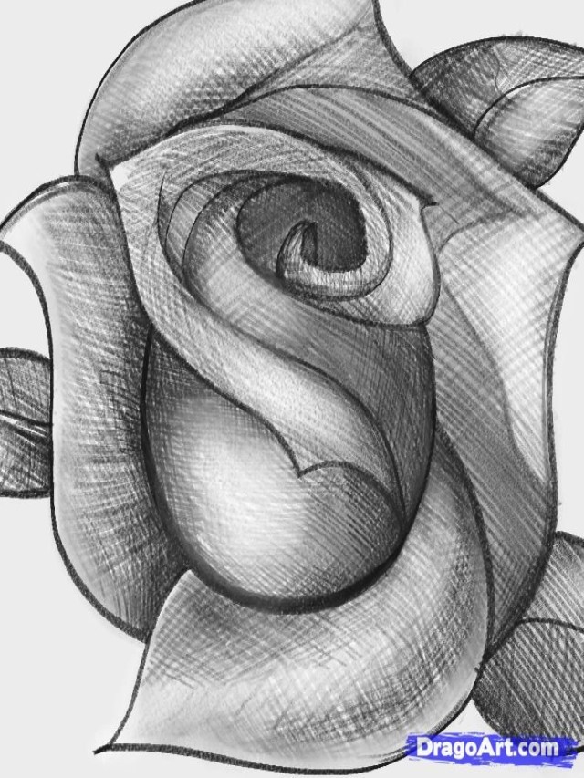 Lista 99+ Imagen como dibujar una rosa a lápiz Lleno