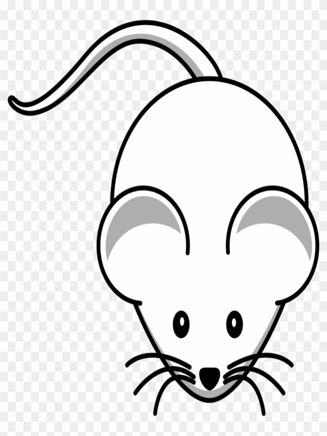 Em geral 94+ Imagen como dibujar un raton facil para niños Lleno