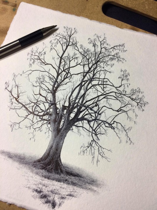 Lista 103+ Foto como dibujar hojas de árboles a lápiz Actualizar