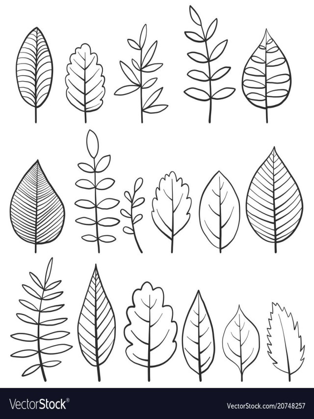 Sintético 94+ Foto como dibujar las hojas de un arbol El último