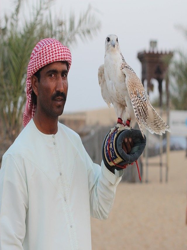 Arriba 91+ Foto como es la cultura de qatar Cena hermosa