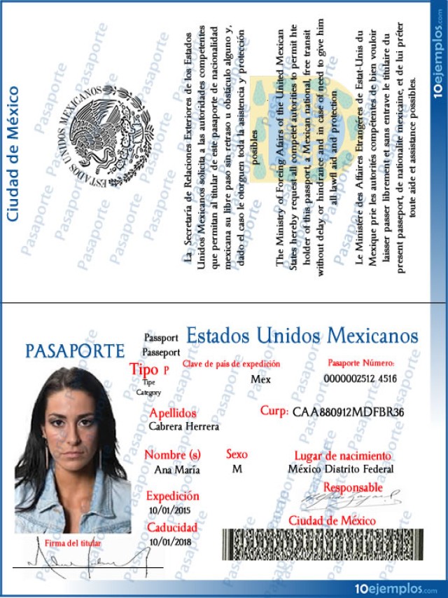 Álbumes 97+ Foto como es un pasaporte mexicano por dentro El último