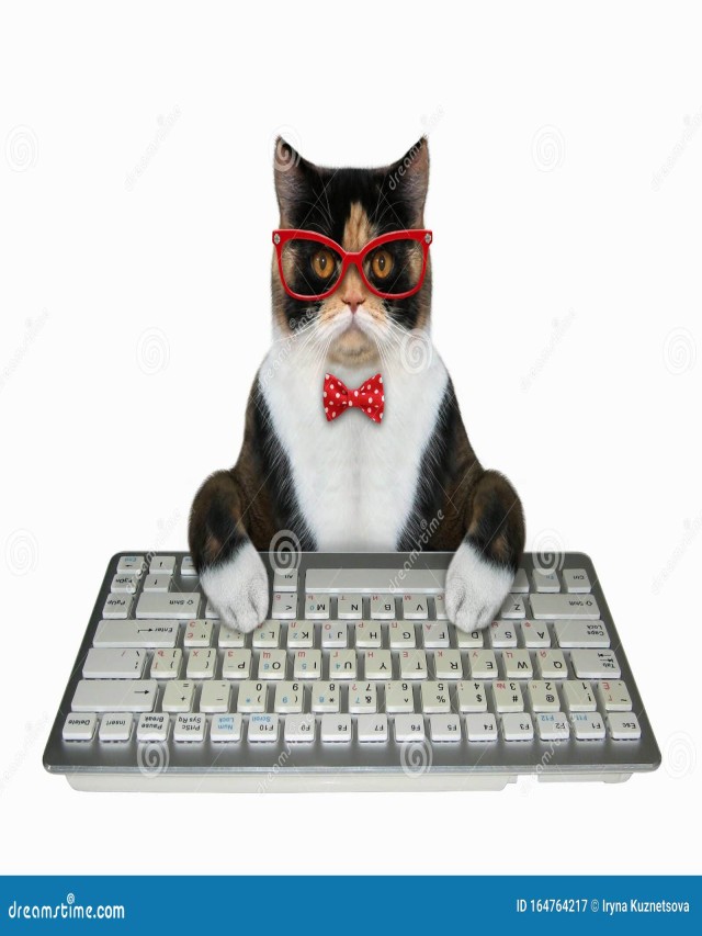 Lista 90+ Foto como escribir gato en el teclado Actualizar