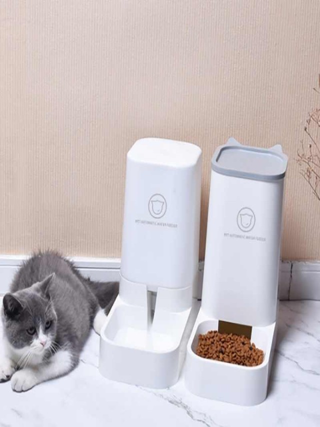 Lista 103+ Foto como hacer un dispensador de comida para gatos Alta definición completa, 2k, 4k