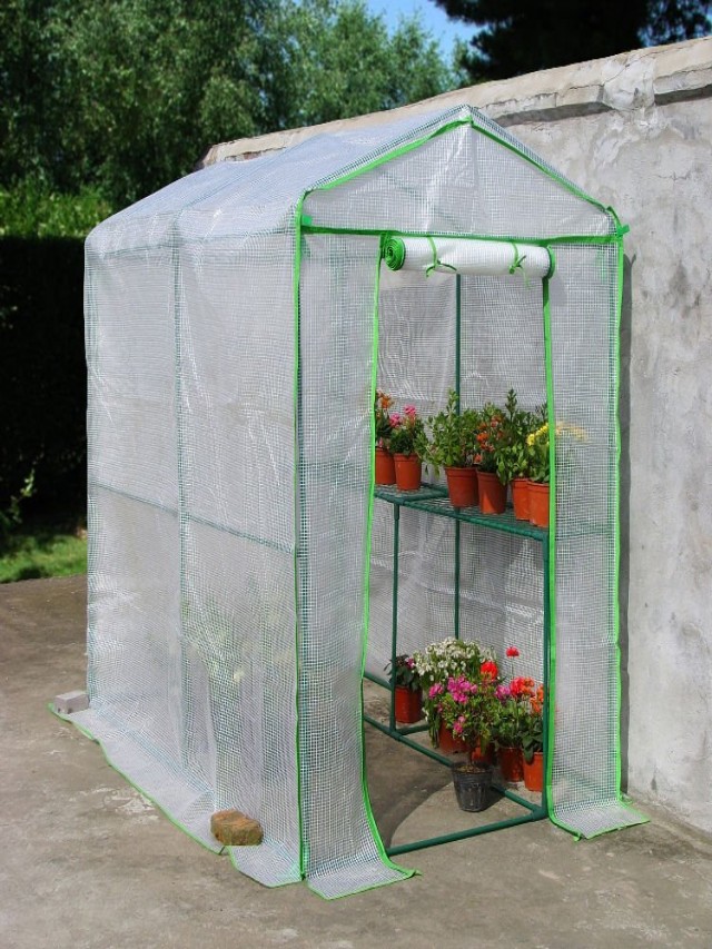 Sintético 93+ Foto como hacer un pequeño invernadero para proteger plantas en invierno Cena hermosa