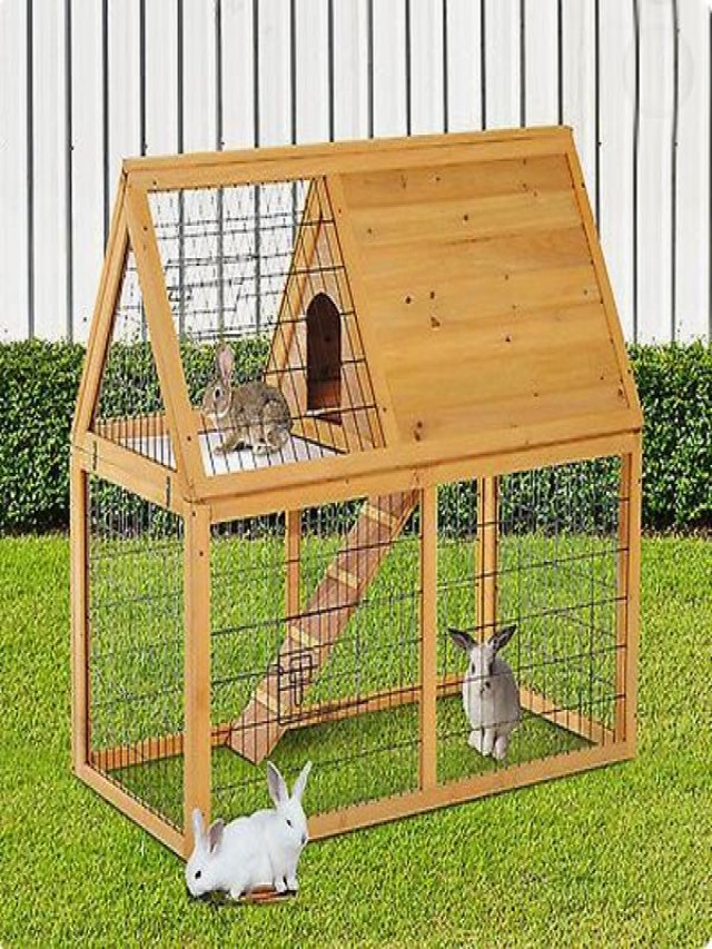 Sintético 102+ Foto como hacer una casa para conejos de cartón Mirada tensa