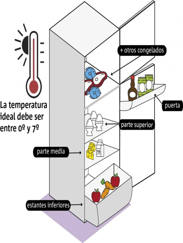 Lista 92+ Foto como medir la temperatura de un refrigerador El último