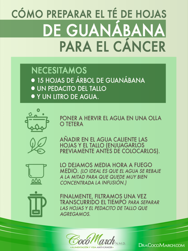Sintético 103+ Foto como preparar jugo de guanábana para el cáncer Cena hermosa