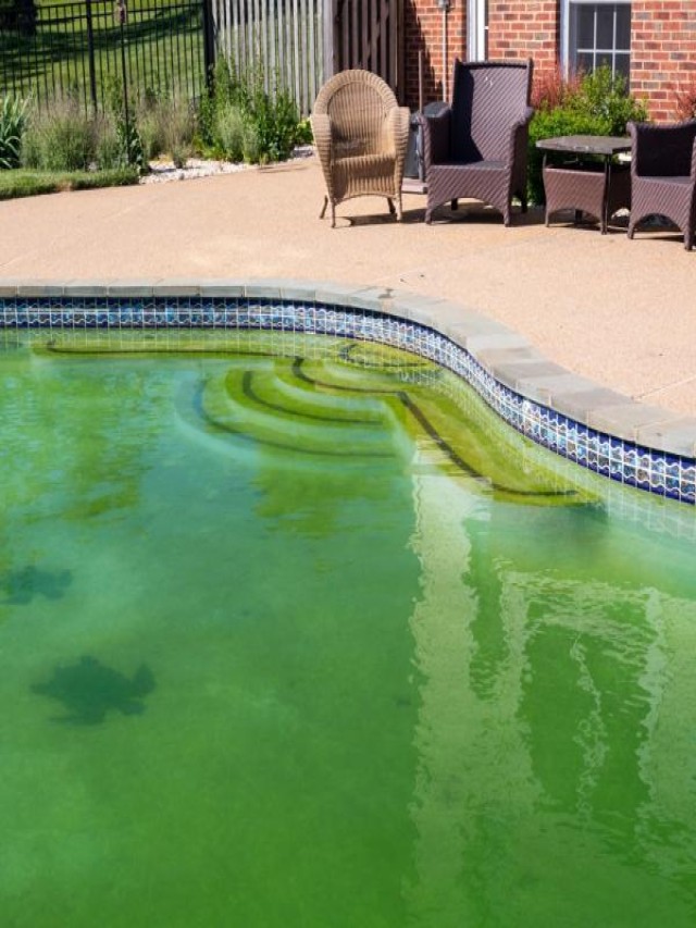 Arriba 105+ Imagen como quitar el fondo verde de la piscina Lleno