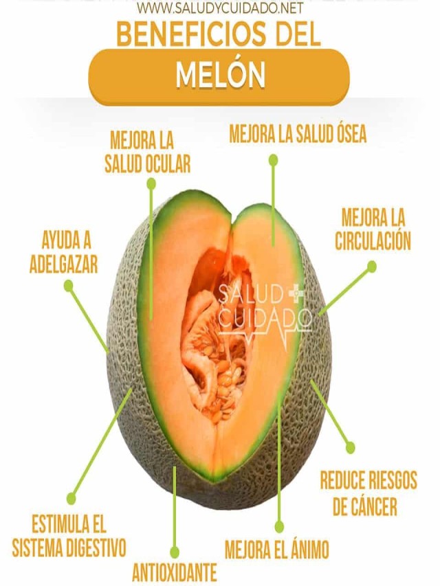 Lista 94+ Foto como saber si un melon es macho o hembra Alta definición completa, 2k, 4k