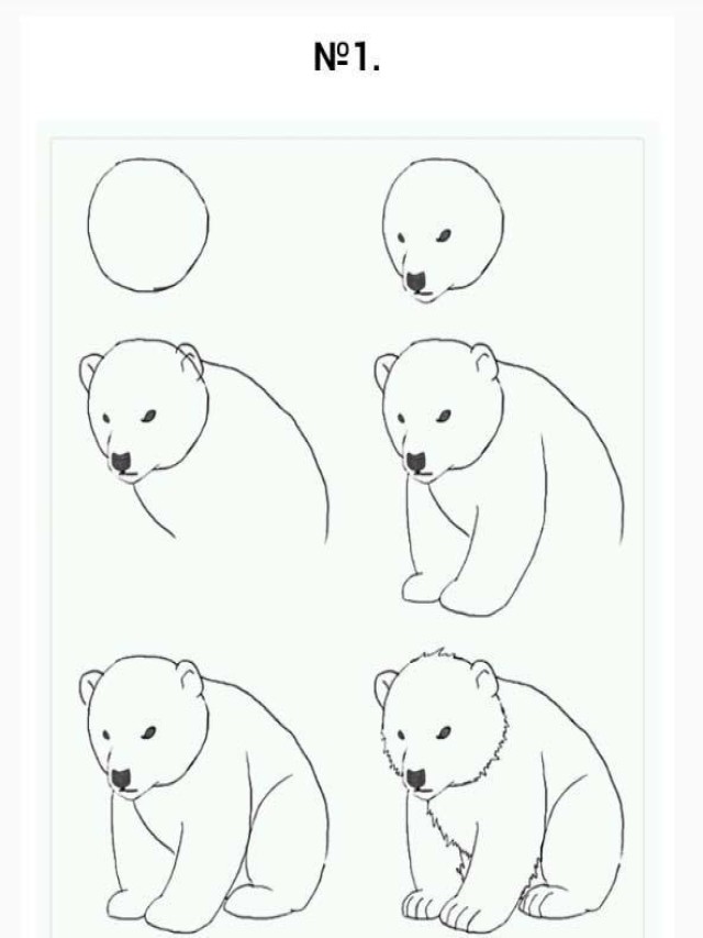 Em geral 100+ Imagen cómo se dibuja un oso polar El último
