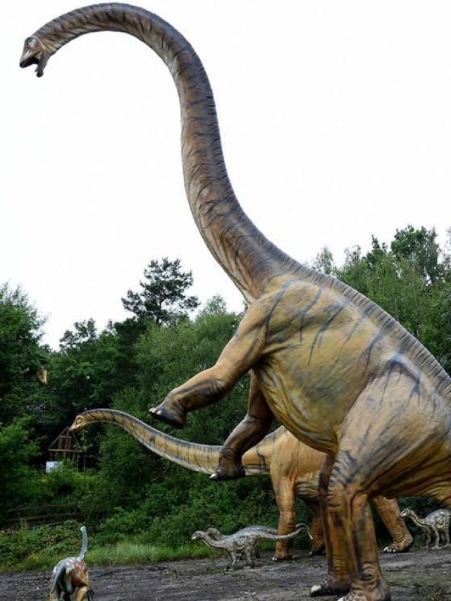 Arriba 95+ Foto como se llaman los dinosaurios de cuello largo Actualizar