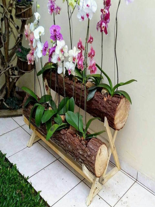 Sintético 100+ Foto como sembrar una orquídea en maceta Lleno