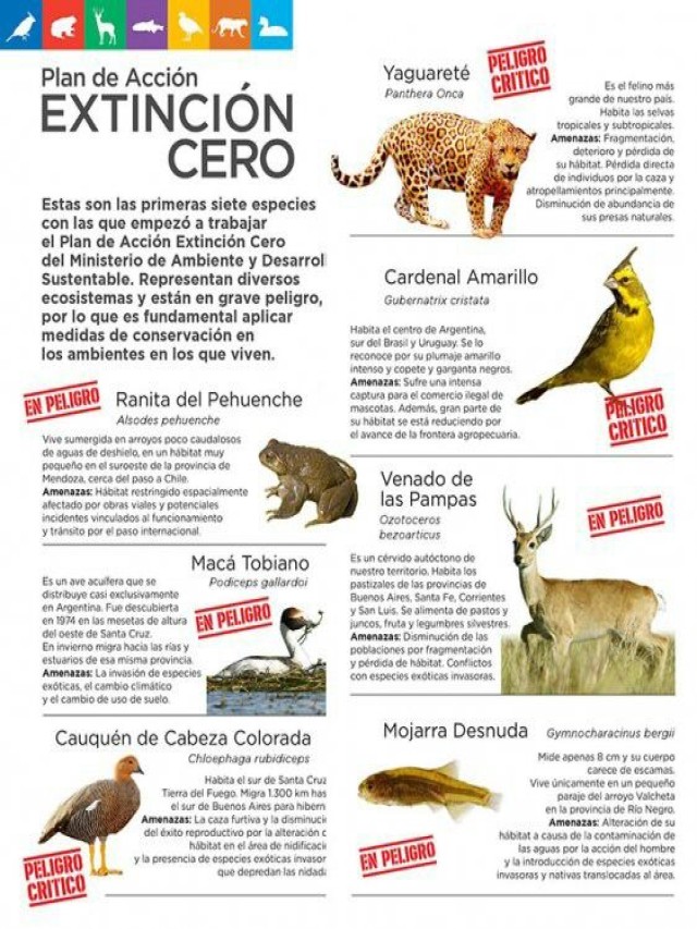 Lista 95+ Foto crucigrama de animales en peligro de extinción Cena hermosa
