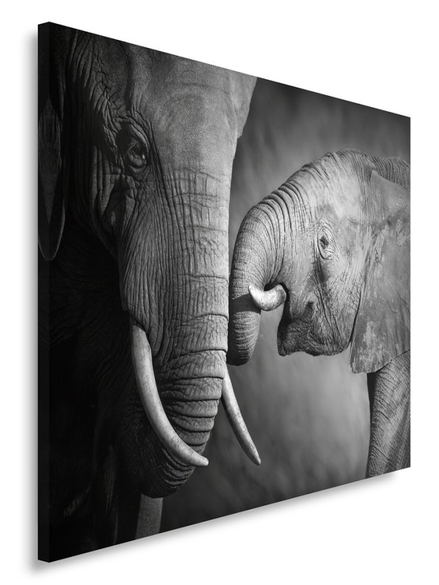 Álbumes 90+ Foto cuadros de elefantes blanco y negro El último