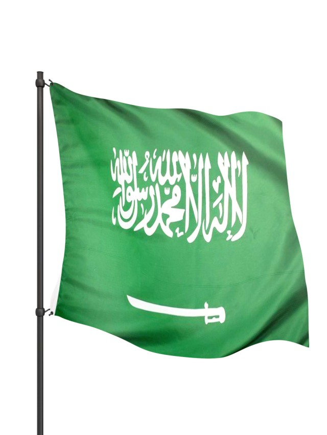 Arriba 104+ Foto cuál es la bandera de arabia saudita El último