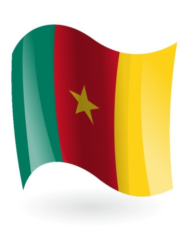 Lista 97+ Foto cuál es la bandera de camerún Actualizar