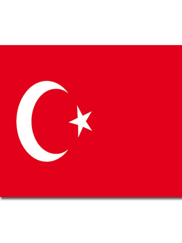 Lista 90+ Foto cual es la bandera de turquía Mirada tensa