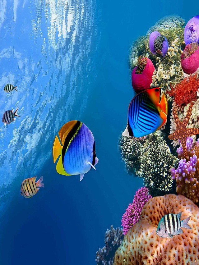 Sintético 93+ Foto cuál es la fauna del ecosistema marino Alta definición completa, 2k, 4k