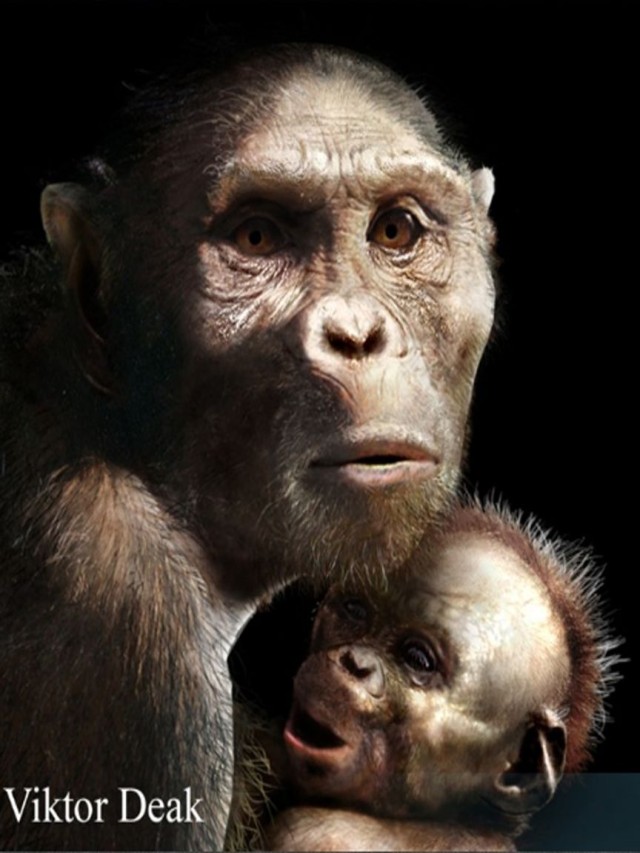 Lista 95+ Foto cuáles eran las características físicas de este espécimen de australopithecus afarensis Alta definición completa, 2k, 4k