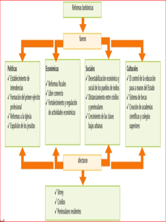 Lista 94+ Foto cuáles son las principales características de las reformas borbónicas Actualizar