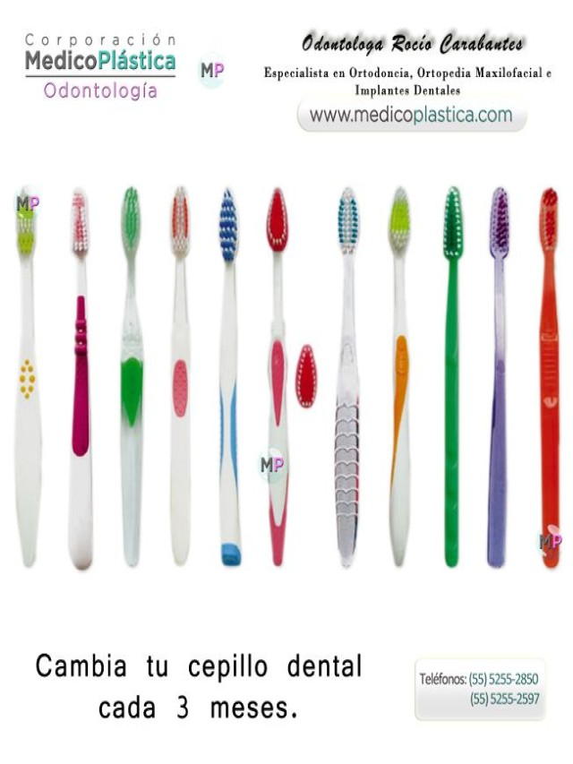 Lista 101+ Foto cuánto mide un cepillo de dientes Actualizar